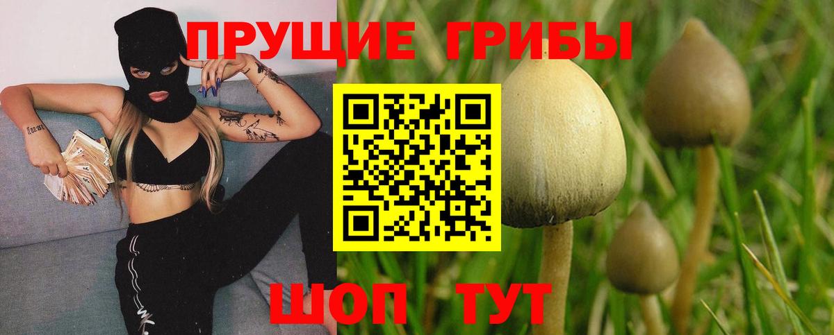 Псилоцибиновые грибы MAGIC MUSHROOMS  где можно купить наркотик  Сергиев Посад  Вход с VPN 